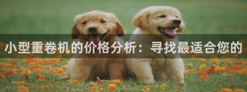 威九国际入口一：小型重卷机的价格分析：寻找最适合您的