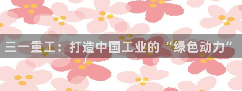 威九国际PPT：三一重工：打造中国工业的“绿色动力”