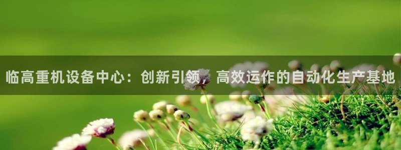 威九国际取款不会被骗吧吗：临高重机设备中心：创新引领，高效运