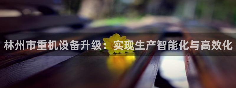 威九国际ppt免费下载：林州市重机设备升级：实现生产智能化与