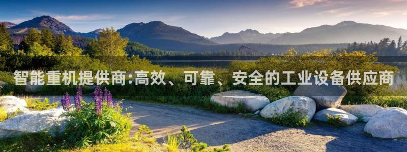 威九国际可以提现吗是真的吗：智能重机提供商:高效、可靠、安全