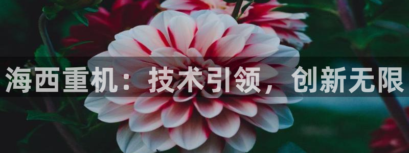 威九国际78mB官网版：海西重机：技术引领，创新无限