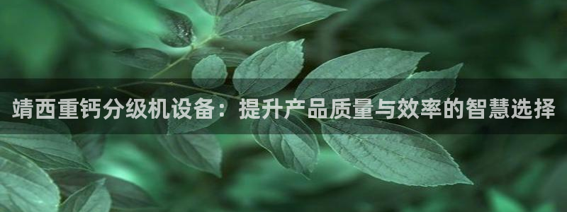 威九国际ppt免费下载网址