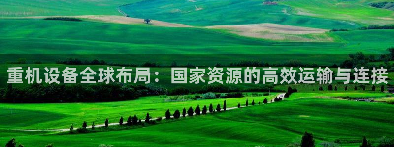 78mapp威九国际神曲口服液：重机设备全球布局：国家资源的