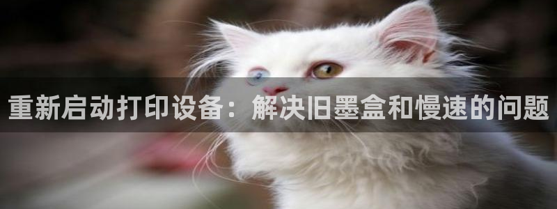 威九国际网站客服电话多少：重新启动打印设备：解决旧墨盒和慢速
