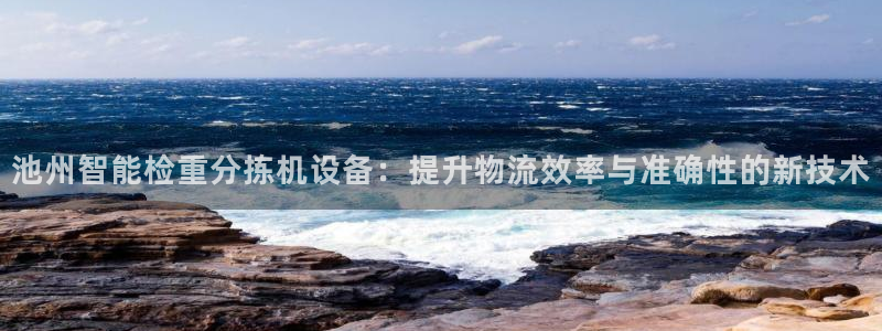 威九国际取款机怎么取：池州智能检重分拣机设备：提升物流效率与