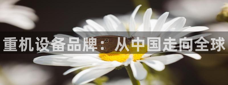 威九国际电子有限公司：重机设备品牌：从中国走向全球