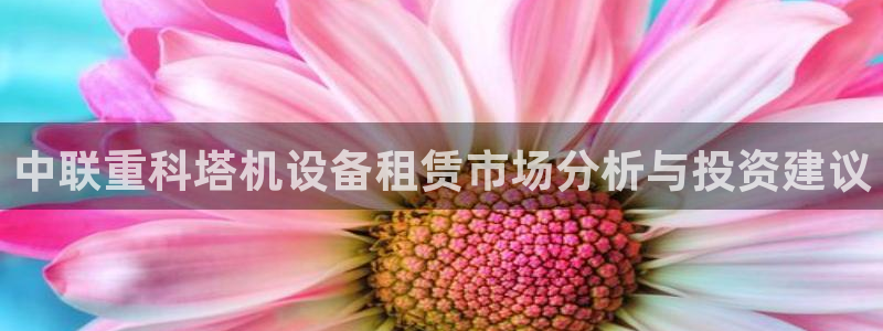 威九国际天美：中联重科塔机设备租赁市场分析与投资建议