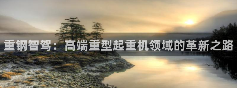 威九国际犯法吗：重钢智驾：高端重型起重机领域的革新之路