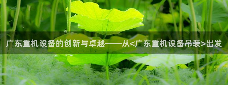 78mppt威九国际:广东重机设备的创新与卓越——从<广东重