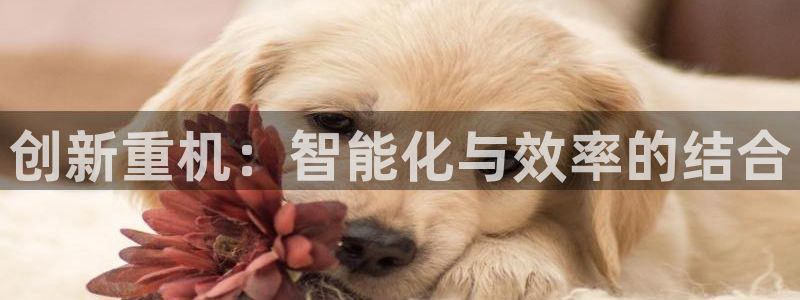 威九国际可以提现吗是真的吗