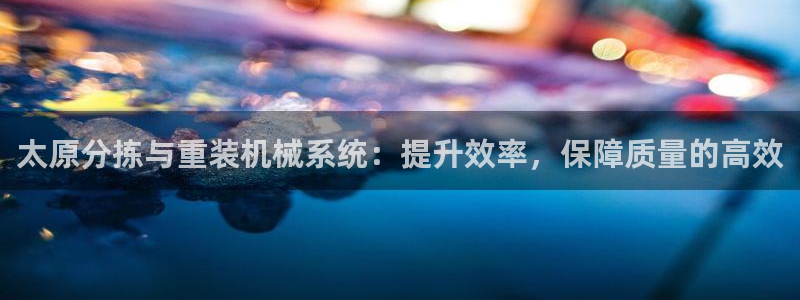 威九国际66视频：太原分拣与重装机械系统：提升效率，保障质量