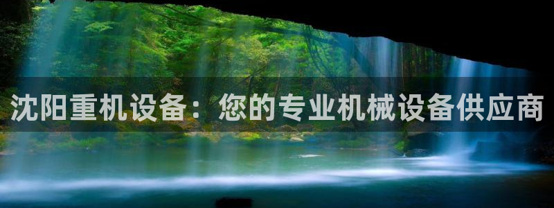 威九国际替好友去