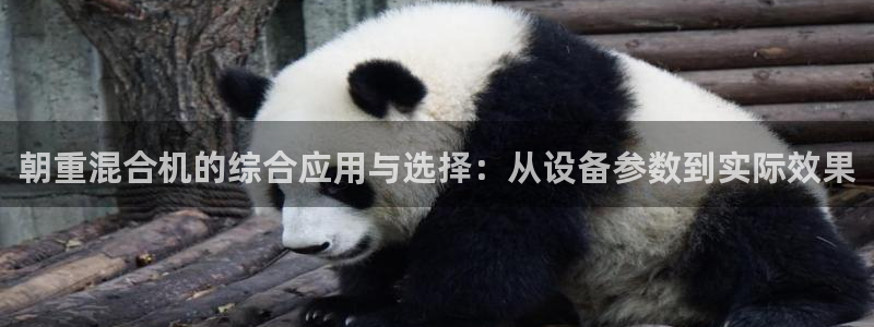 威九国际网站客服电话多少