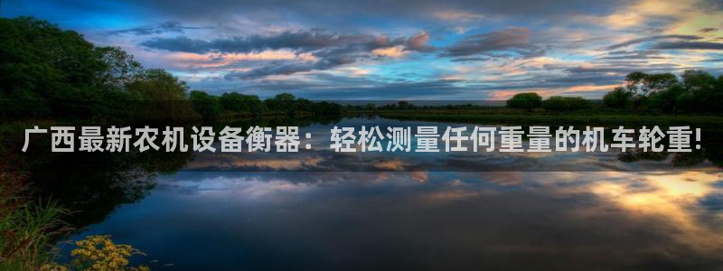 威九国际风情万种：广西最新农机设备衡器：轻松测量任何重量的机