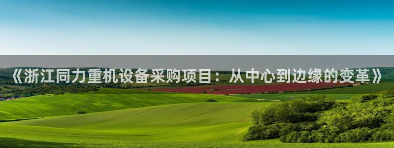 威九国际旗下艺人有谁：《浙江同力重机设备采购项目：从中心到边