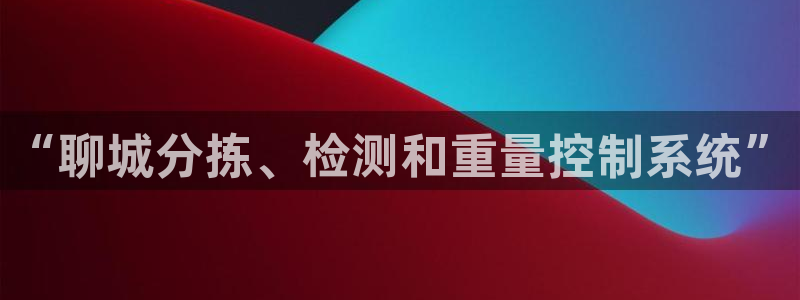 威九国际78mb官网：“聊城分拣、检测和重量控制系统”