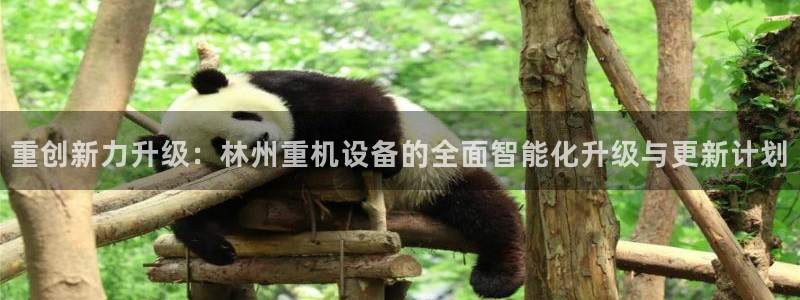 威九国际66m入口