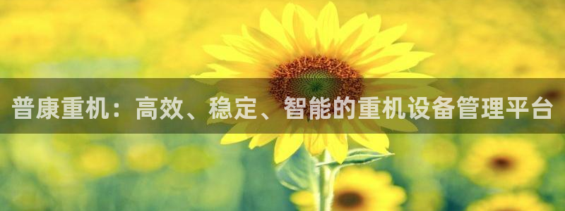 威九国际的金融服务怎么样：普康重机：高效、稳定、智能的重机设