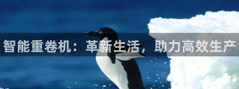 威九国际网站下载：智能重卷机：革新生活，助力高效生产