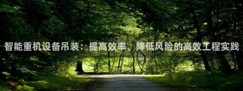 威九国际全国空降：智能重机设备吊装：提高效率、降低风险的高效