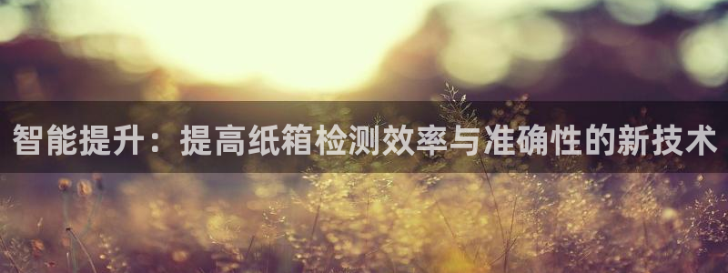 66m威九国际精选：智能提升：提高纸箱检测效率与准确性的新技