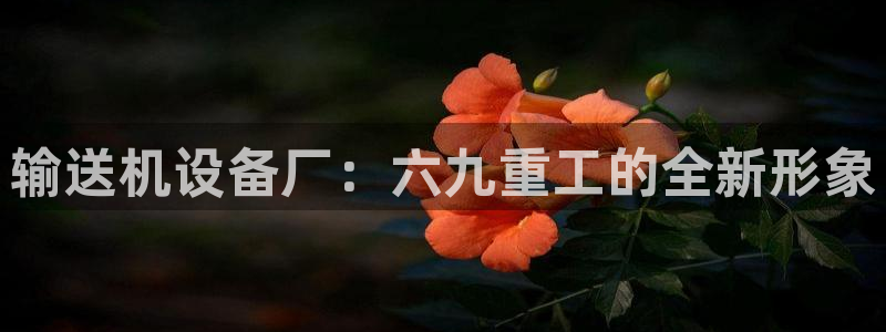 威九国际瘫痪丈夫眼见证