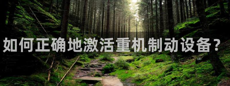 威九国际app客服电话多少