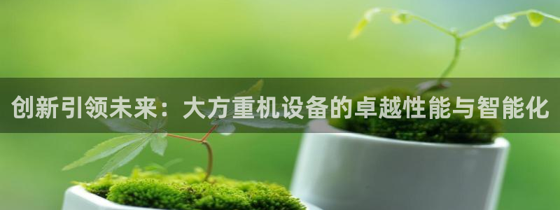 威九国际取款不到账：创新引领未来：大方重机设备的卓越性能与智