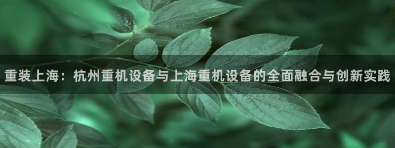 威九国际78m域名