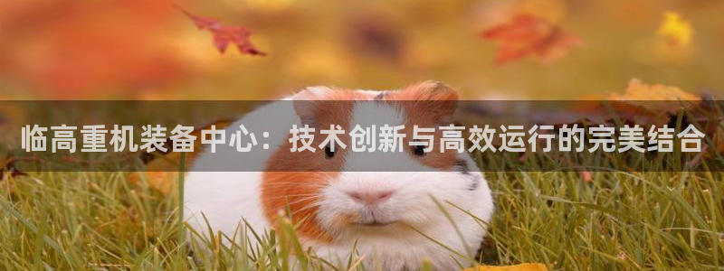 威九国际网站客服电话多少啊：临高重机装备中心：技术创新与高效