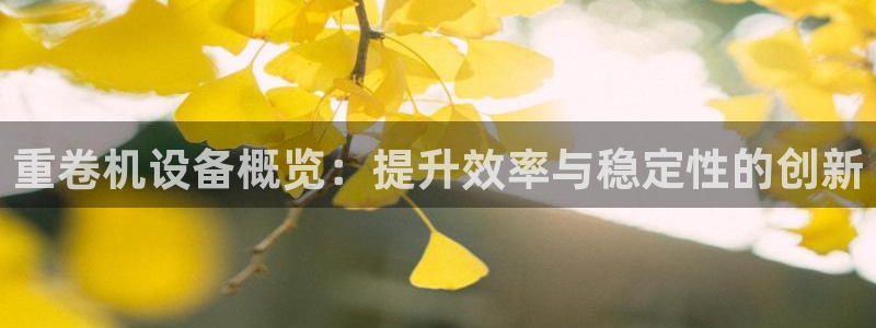 威九国际如何下载：重卷机设备概览：提升效率与稳定性的创新