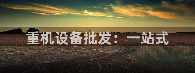 威九国际官网登录入口网址：重机设备批发：一站式