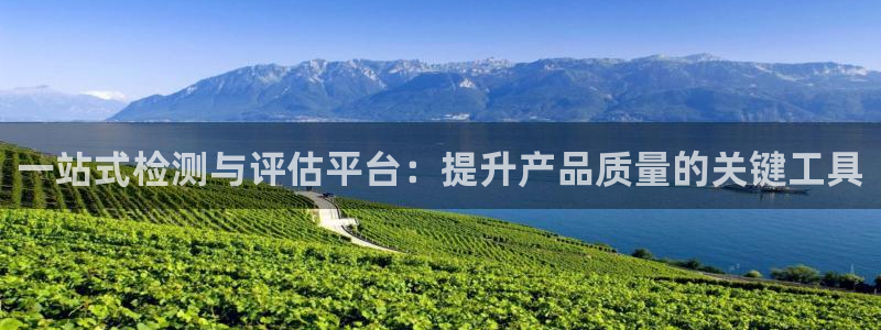 威九国际网站链接怎么打开