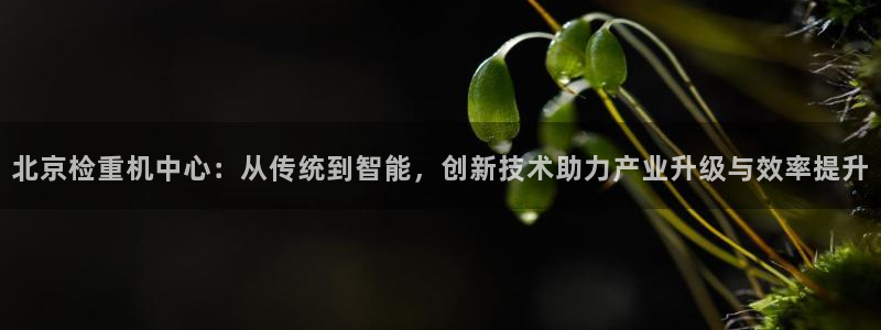 威九国际78m78下载