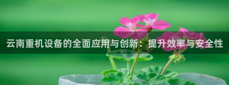 威九国际网站入囗：云南重机设备的全面应用与创新：提升效率与安