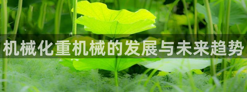 威九国际网站官网：机械化重机械的发展与未来趋势