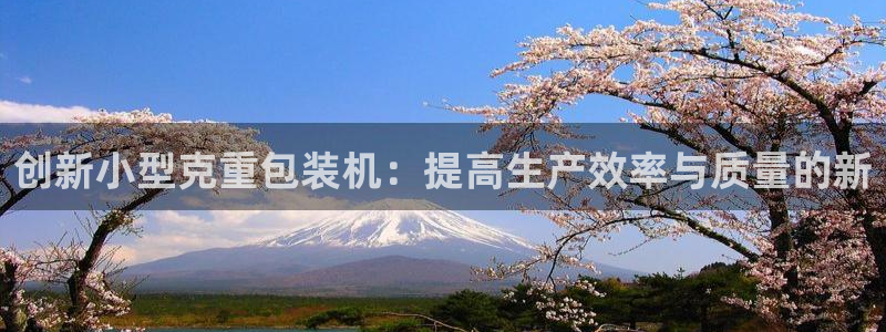 威九国际Sxsx：创新小型克重包装机：提高生产效率与质量的新