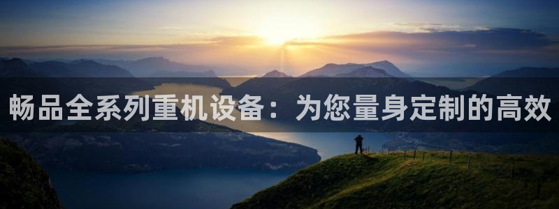 威九国际合作伙伴有哪些