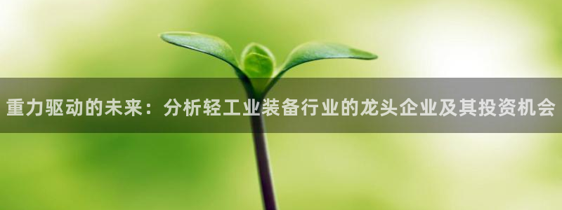 威九国际78mb：重力驱动的未来：分析轻工业装备行业的龙头企