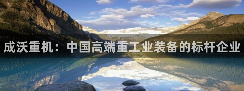 威九国际精免费下载