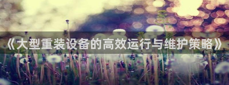 威九国际FT：《大型重装设备的高效运行与维护策略》