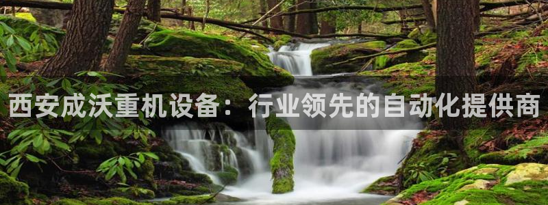 威九国际网站为什么不禁止