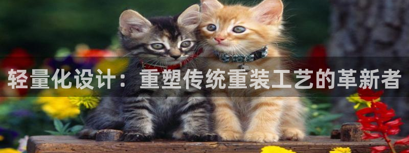 威九国际安全吗：轻量化设计：重塑传统重装工艺的革新者