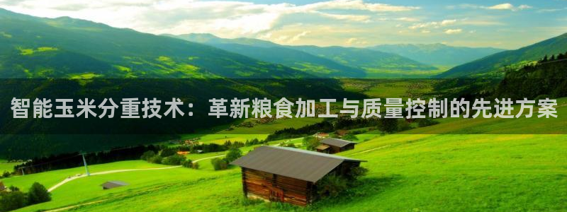 威九国际66cm：智能玉米分重技术：革新粮食加工与质量控制的