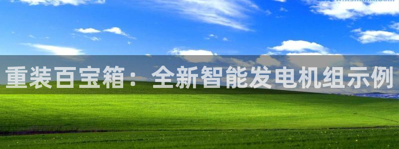 威九国际集团66m一6在线：重装百宝箱：全新智能发电机组示例