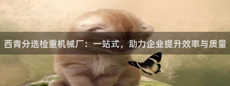 威九国际精选酒店地址：西青分选检重机械厂：一站式，助力企业提