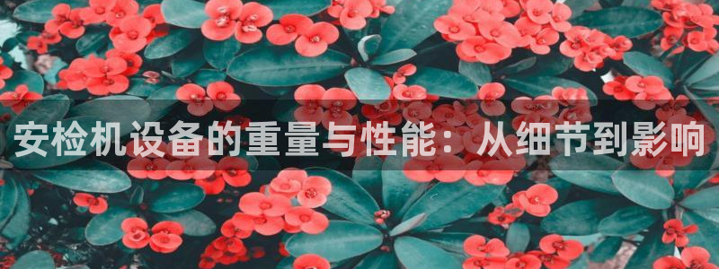 威九国际网站进入AB,AB：安检机设备的重量与性能：从细节到