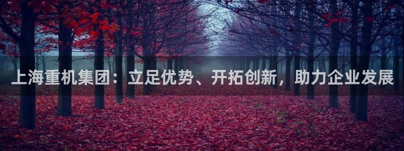 威九国际网站登录：上海重机集团：立足优势、开拓创新，助力企业