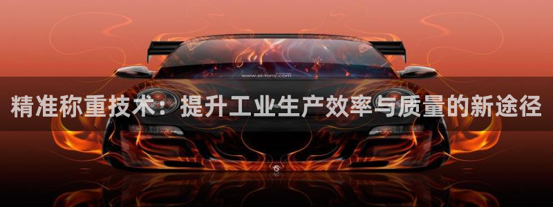 78mapp威九国际人民网：精准称重技术：提升工业生产效率与